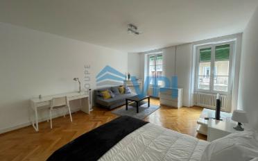 Appartement meublé 2.5 pièces - image - 1