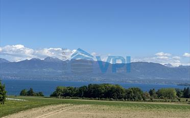 Gewerbe - image - 6