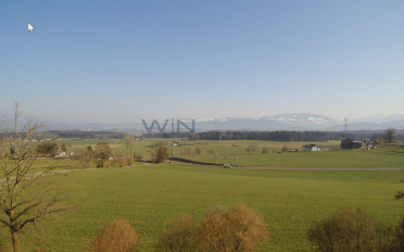 Doppeleinfamilienhaus - image - 4