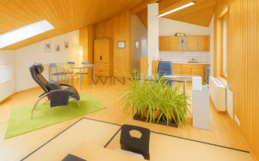 Einfamilienhaus 9.5 Zimmer - image - 1