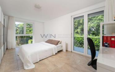 Einfamilienhaus 6.5 Zimmer - image - 4