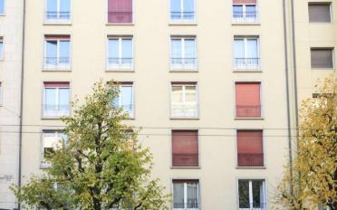 Wohnung 3.5 Zimmer - image - 2