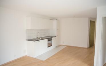 Appartement 2.5 pièces - image - 7