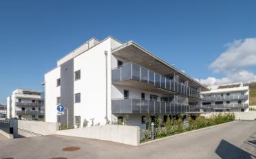 Apartment 2.5 rooms - image - 5