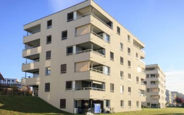 Wohnung 2.5 Zimmer - image - 3