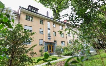 Wohnung 2.5 Zimmer - image - 1