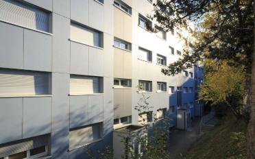 Wohnung 3.5 Zimmer - image - 5