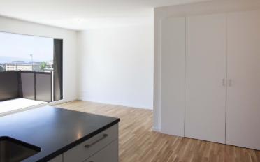 Wohnung 2.5 Zimmer - image - 5