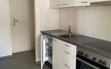 Appartement 1.5 pièces - image - 2