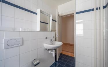 Wohnung 2.5 Zimmer - image - 5