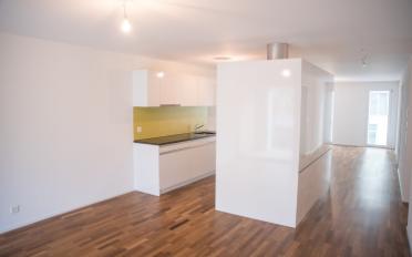 Apartment 2.5 rooms - image - 5