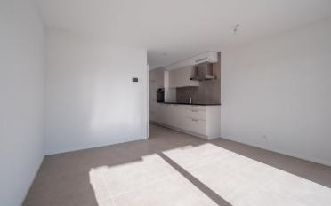 Apartment 1.5 rooms - image - 6