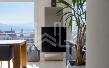 Terrace flat 13.5 rooms - image - 7