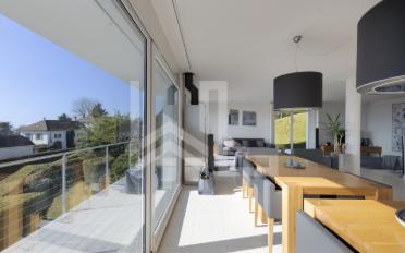 Terrace flat 13.5 rooms - image - 5