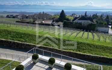 Terrace flat 13.5 rooms - image - 2