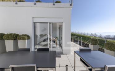Terrace flat 13.5 rooms - image - 8