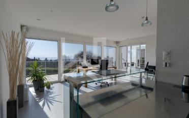 Terrace flat 13.5 rooms - image - 12