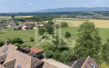 Einfamilienhaus 8 Zimmer - image - 1