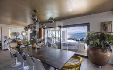 Single house 12 rooms - image - 3