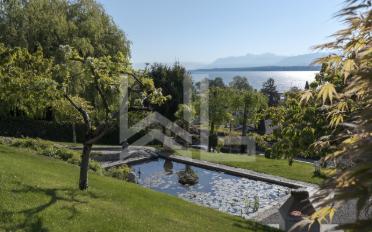 Single house 12 rooms - image - 10