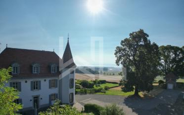 Einfamilienhaus 7 Zimmer - image - 2