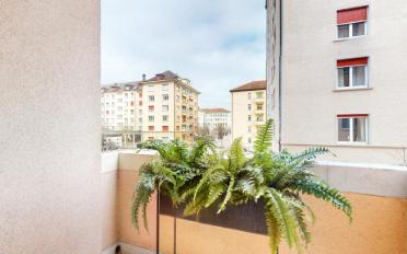 Wohnung 3 Zimmer - image - 7