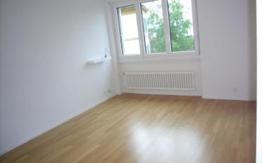 Apartment 1 room - image - 4