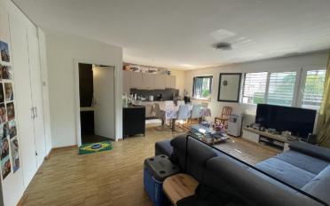 Wohnung 2.5 Zimmer - image - 2