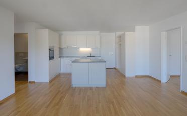 Attic flat 3.5 rooms - image - 3