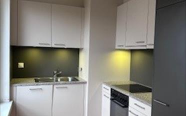 Apartment 2.5 rooms - image - 5