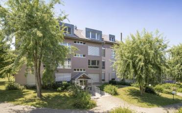 Wohnung 2.5 Zimmer - image - 1