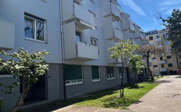 Wohnung 2.5 Zimmer - image - 1