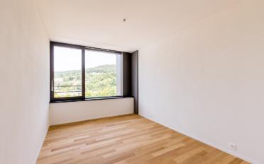 Wohnung 2.5 Zimmer - image - 5