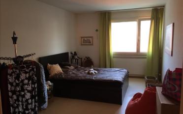 Wohnung 3 Zimmer - image - 5