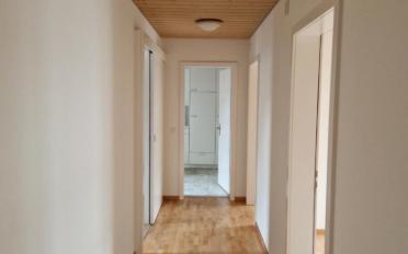 Wohnung 2.5 Zimmer - image - 2