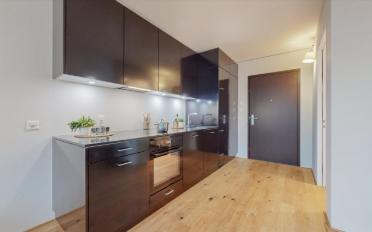 Appartement 1.5 pièces - image - 3