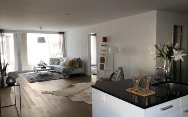 Wohnung 3.5 Zimmer - image - 1