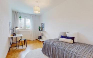 Wohnung 3 Zimmer - image - 6