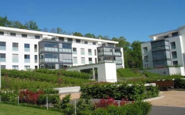 Wohnung 6.5 Zimmer - image - 3