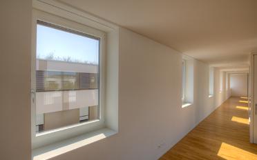 Wohnung 3.5 Zimmer - image - 5