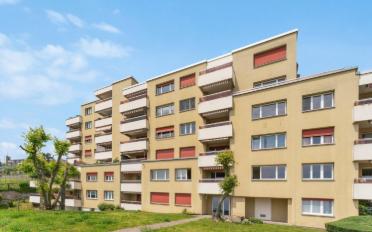 Wohnung 1.5 Zimmer - image - 1
