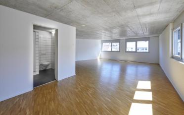 Loft 2.5 Zimmer - image - 6