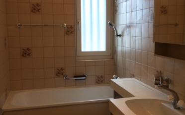 Wohnung ein Zimmer - image - 5