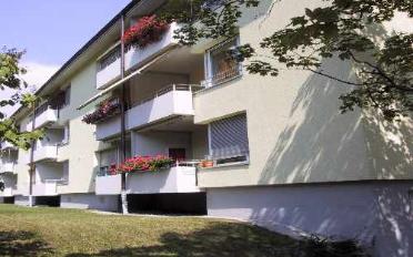 Appartement 2 pièces - image - 2