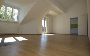 Duplex 5.5 pièces - image - 4