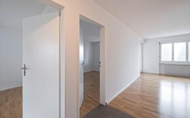 Wohnung 3 Zimmer - image - 3