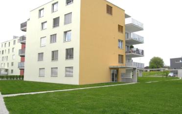 Wohnung 2.5 Zimmer - image - 1