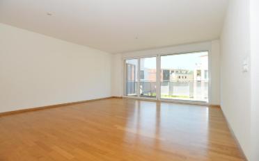 Wohnung 2.5 Zimmer - image - 5