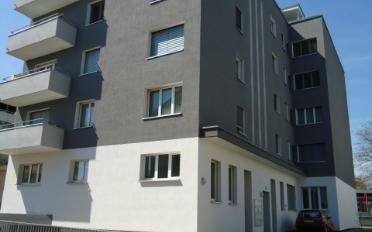 Wohnung 2.5 Zimmer - image - 2