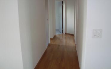 Appartement 3.5 pièces - image - 4
